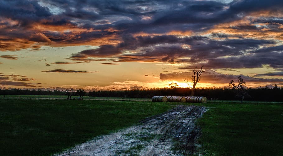 sunset, farm, light, nature, countryside, field, rural, sky HD wallpaper