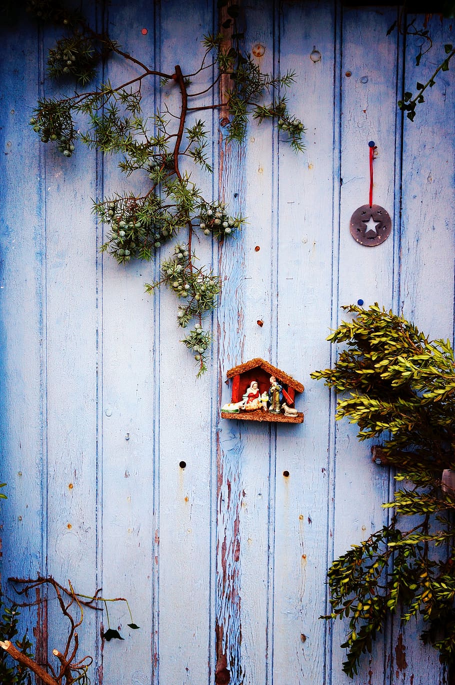 christmas door, wood - material, entrance, plant, no people HD wallpaper