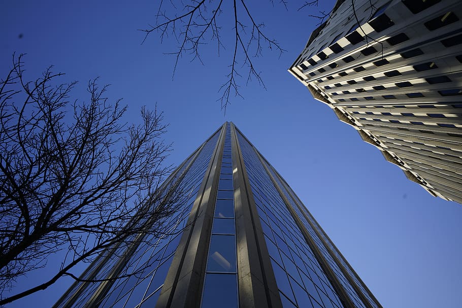 canada, edmonton, looking up, architecture, lifestyle, alberta HD wallpaper