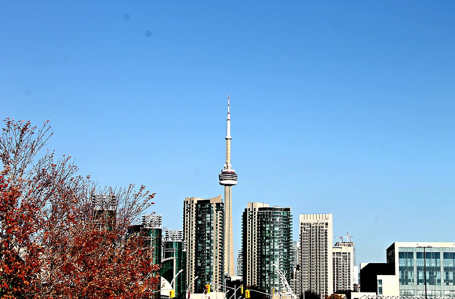 toronto, canada, ricoh coliseum, fall, thesix, cn tower, cityscape HD wallpaper
