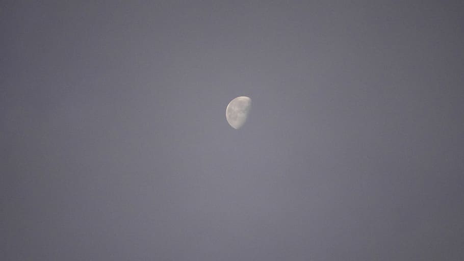 nature, sky, moon, wallpaper, background, hdwallpaper, moonlight HD wallpaper