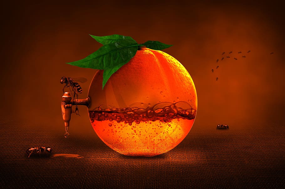 juice, extract, extraction, drink, orange, nature, fruit, food and drink HD wallpaper