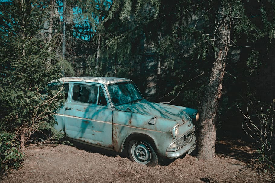 blue car parked by tree, tire, transportation, vehicle, machine HD wallpaper