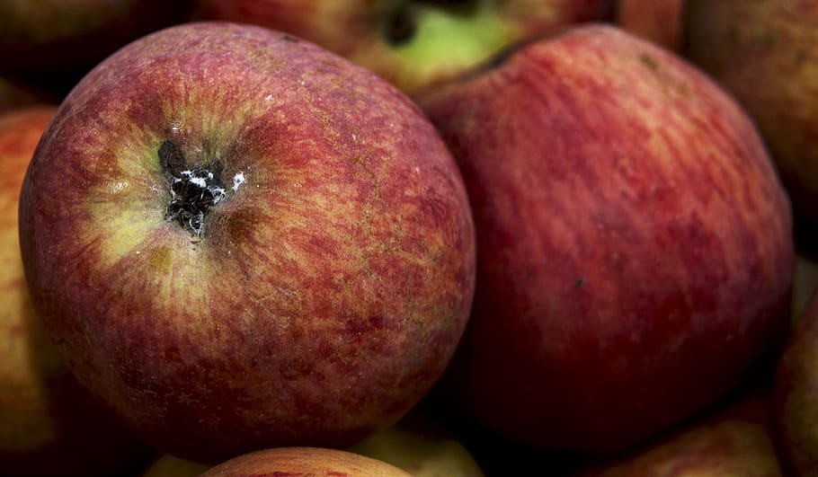 apples, fruit, eco, healthy, vitamins, fresh, delicious, food HD wallpaper