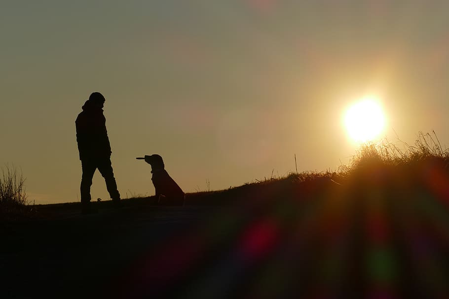 sunset, sundown, people, dog, outdoor, nature, evening, peaceful HD wallpaper