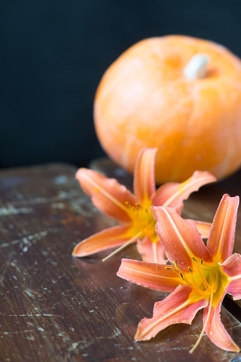 background, lily, orange, flower, summer, stamens, lilies, flowers HD wallpaper