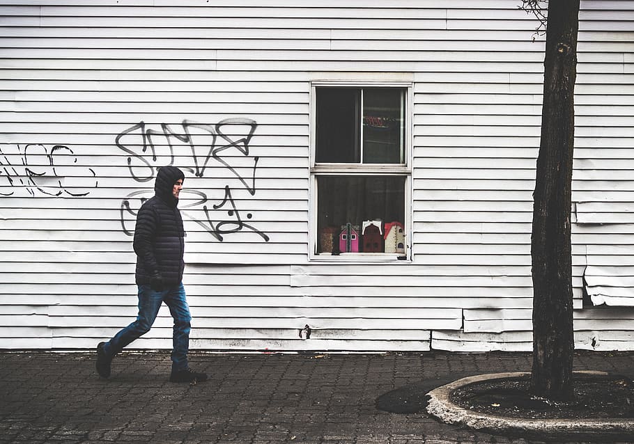 man, window, graffiti, tree, urban, street, full length, architecture HD wallpaper