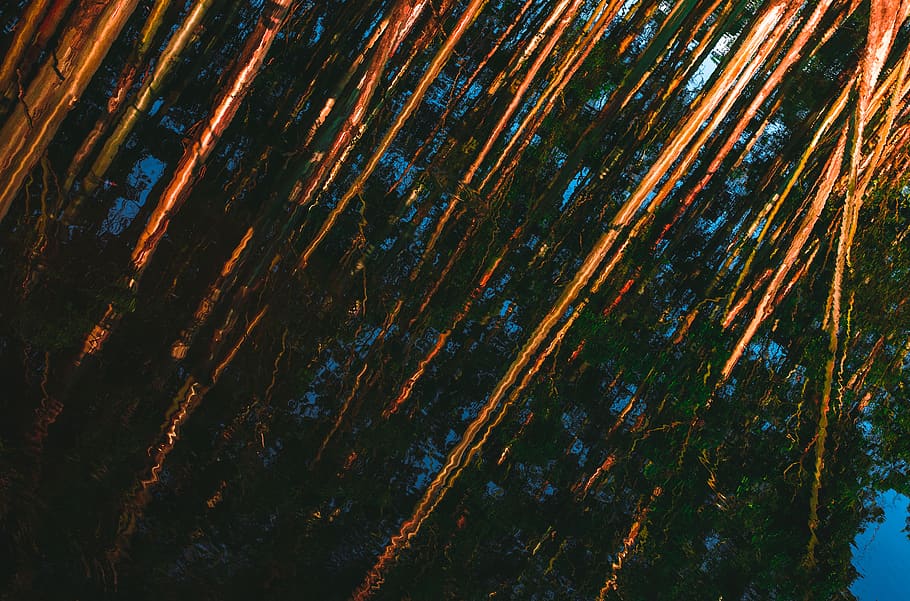 light, art, plant, tree, outdoors, nature, flare, painting HD wallpaper