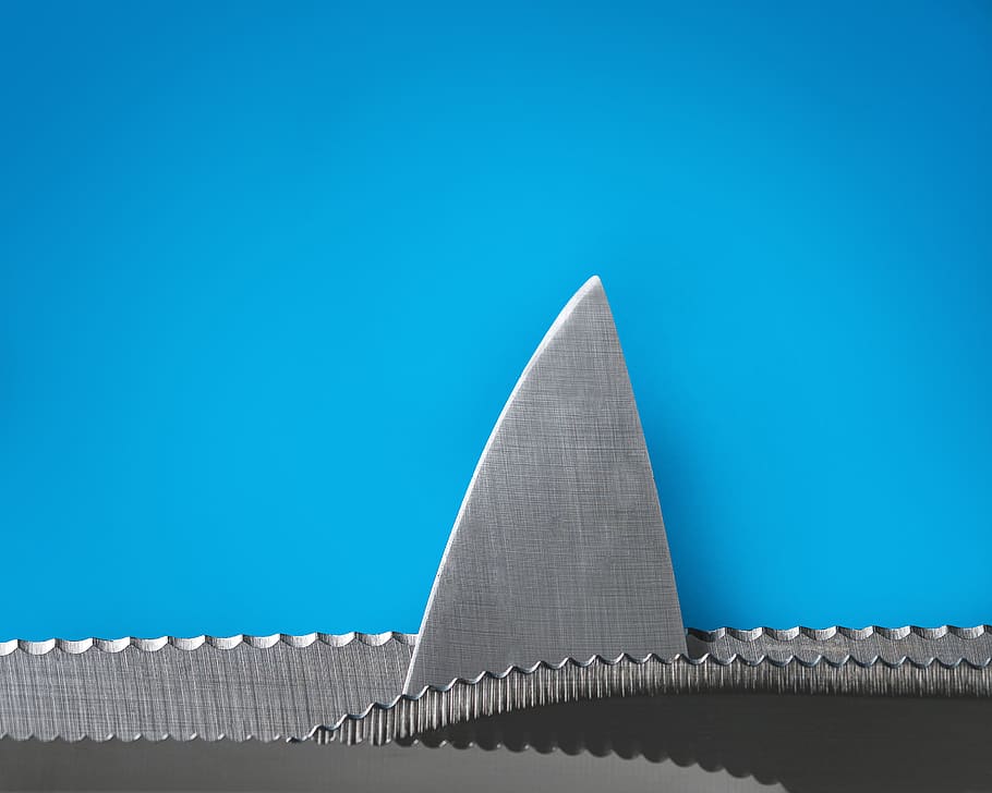 gray and blue handbag, bucharest, romania, fin, metal, shark HD wallpaper