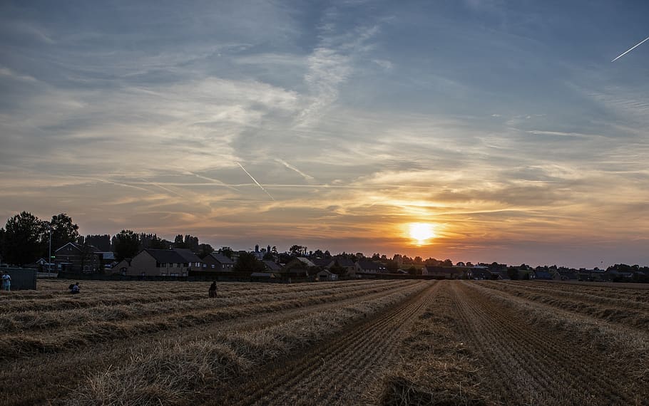 sunset, evening, sky, twilight, landscape, cloud - sky, environment HD wallpaper