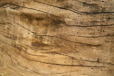 wood, timber, texture, tree, pattern, old, carpentry, natural HD wallpaper