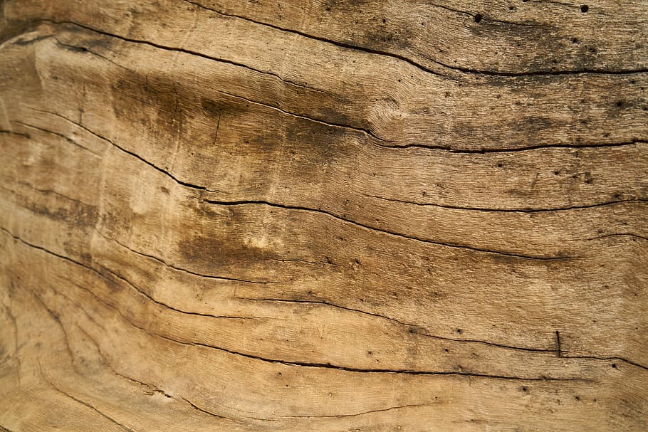 wood, timber, texture, tree, pattern, old, carpentry, natural HD wallpaper