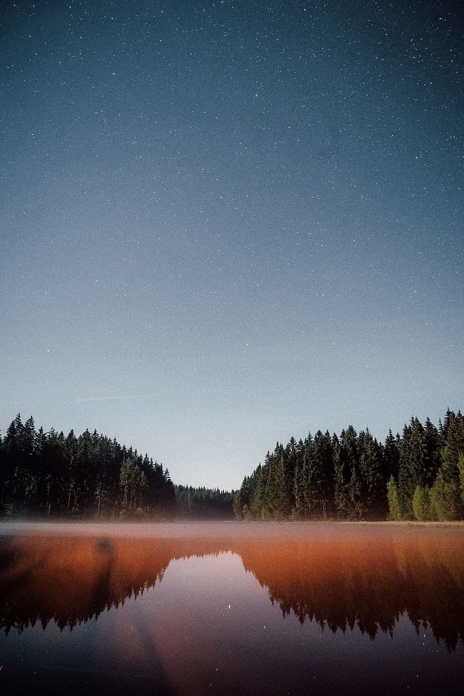 body of water near trees during daytime, sky, star, forest, woodland HD wallpaper