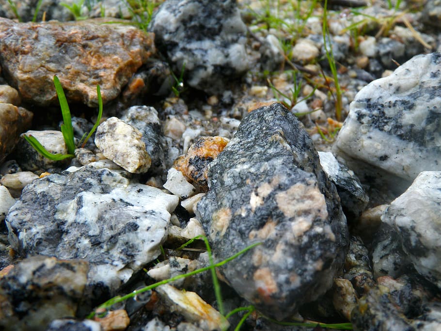 chuva, pedras, rock, solid, rock - object, animal, animal wildlife HD wallpaper