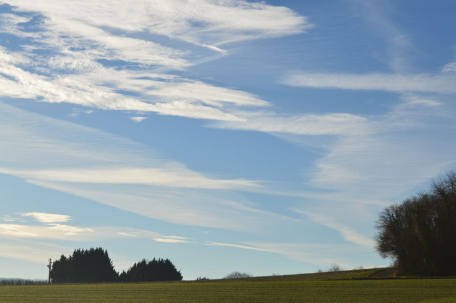 field, trees, grass, clouds, farm, sky, tranquil scene, tranquility HD wallpaper