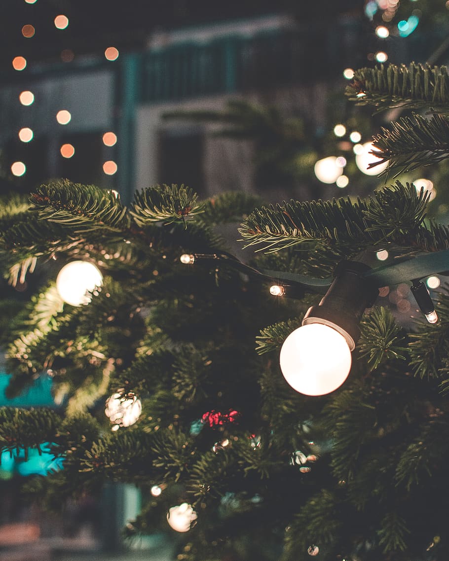 germany, darmstadt, illuminated, christmas, tree, christmas decoration, HD wallpaper
