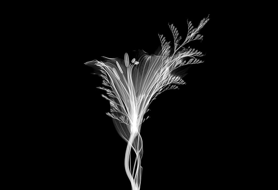 white plant, new jersey institute of technology, united states HD wallpaper