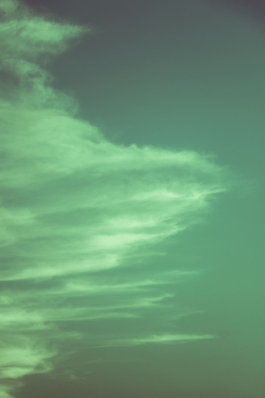nature, outdoors, sky, cloud, flying, animal, bird, weather HD wallpaper