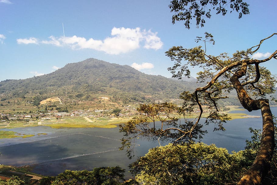bali, lake, tree, mountain, buyan, bedugul, water, sky, nature HD wallpaper