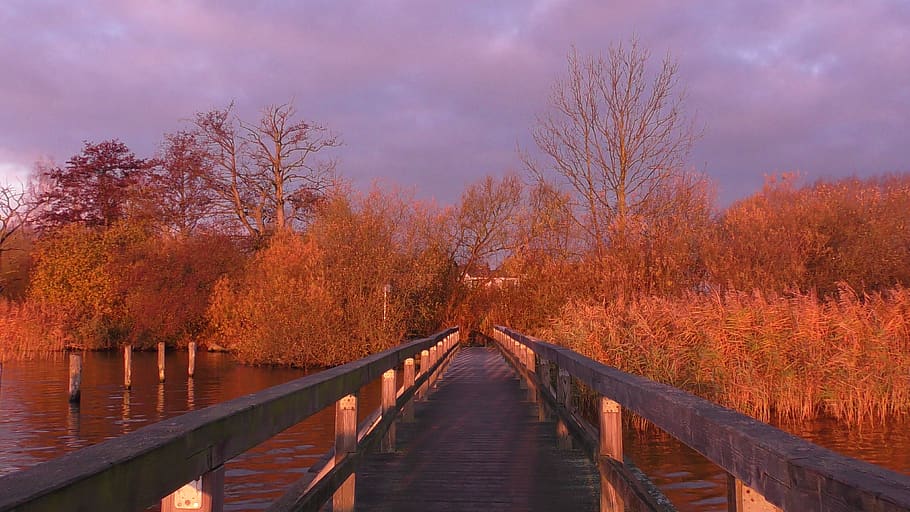 web, bridge, wood, landscape, railing, transition, water, mood HD wallpaper
