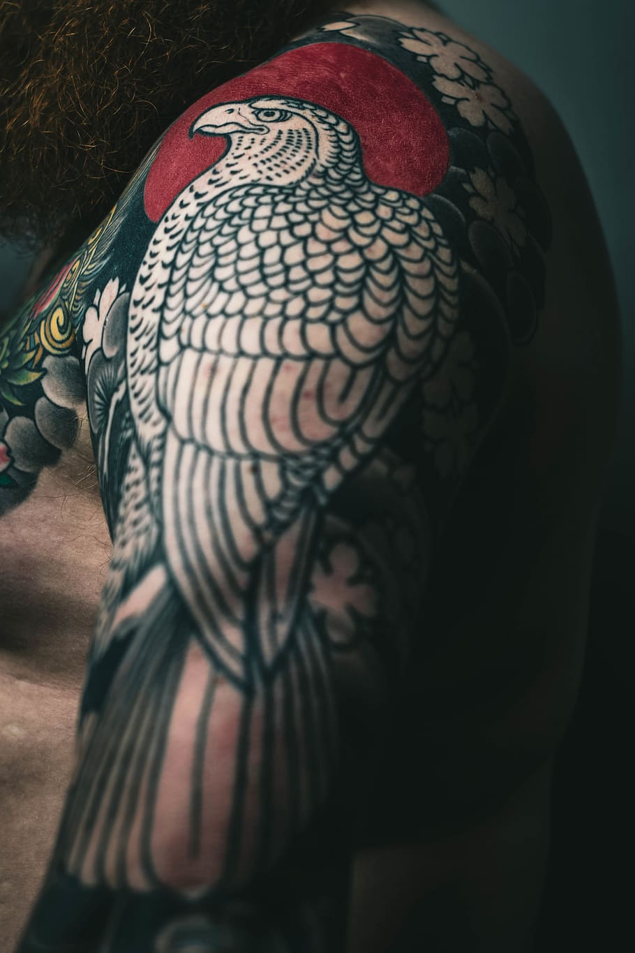 Tatuagem de hoje :) #tattoo #colors #bird #anchor | Jefferson Martins |  Flickr
