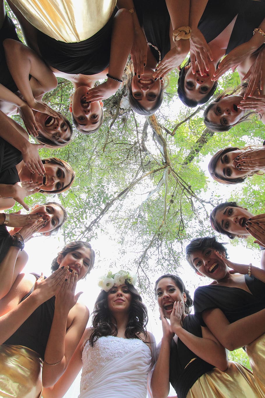 bride, wedding, tree, friends, group of people, real people HD wallpaper