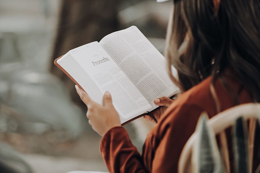 girl reading book, holding, one person, publication, activity HD wallpaper