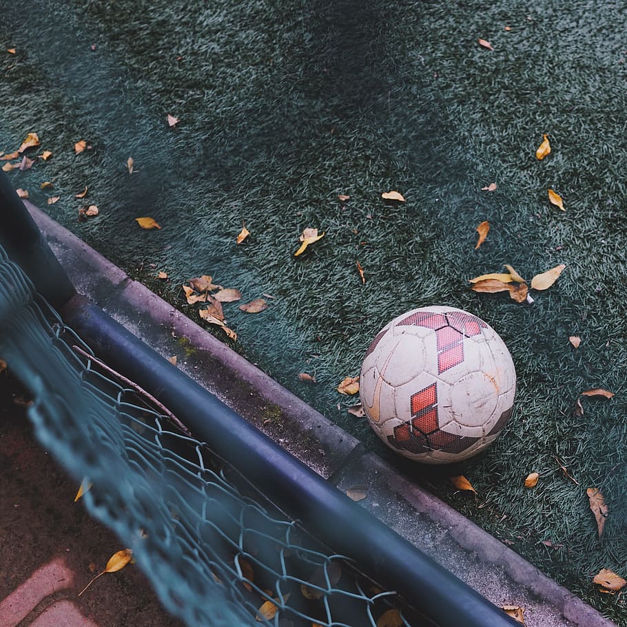 white and red soccer ball on green grass, football, fence, leaves