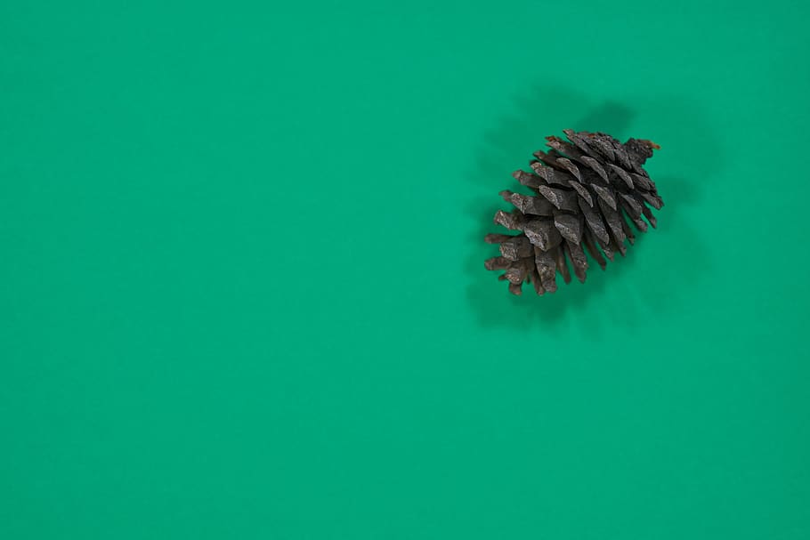 green, cone, paper, christmas, celebration, winter, christianity, HD wallpaper