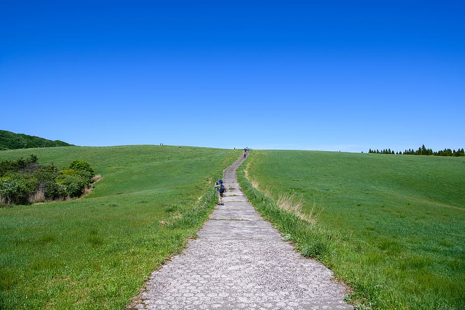 万年山, grass, plant, environment, sky, direction, landscape HD wallpaper