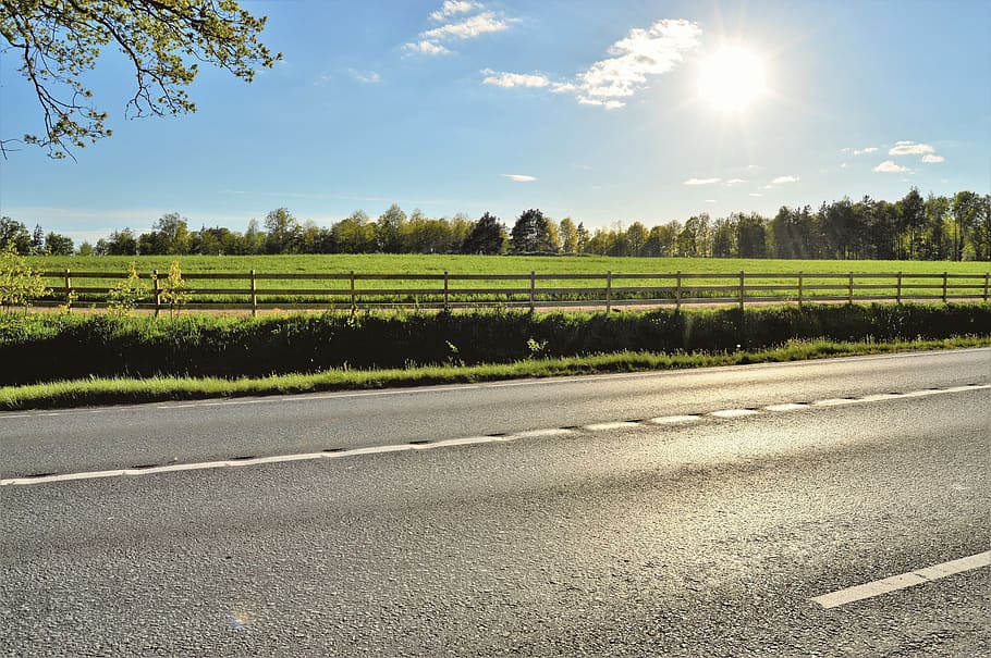 sweden, plant, sky, road, tree, sunlight, landscape, nature HD wallpaper