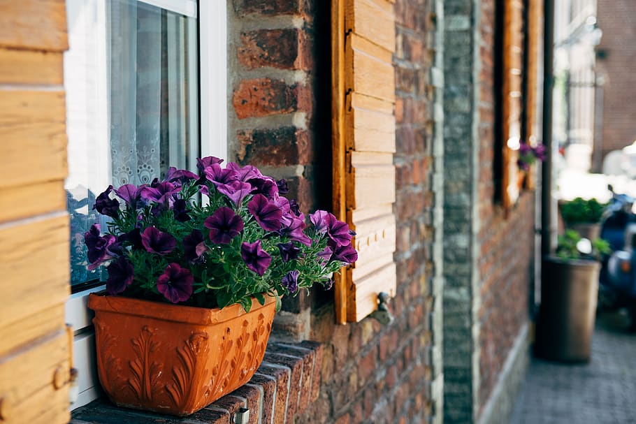 germany, window sill, building, house, village, town, flowers HD wallpaper