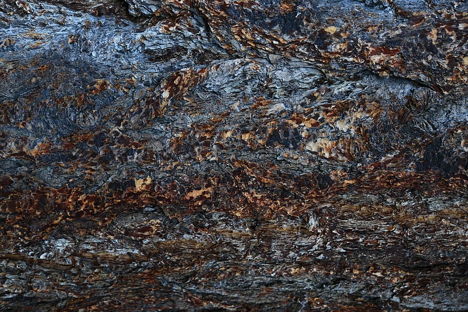 texture, abstract, bark, tree bark, grey, brown, background HD wallpaper