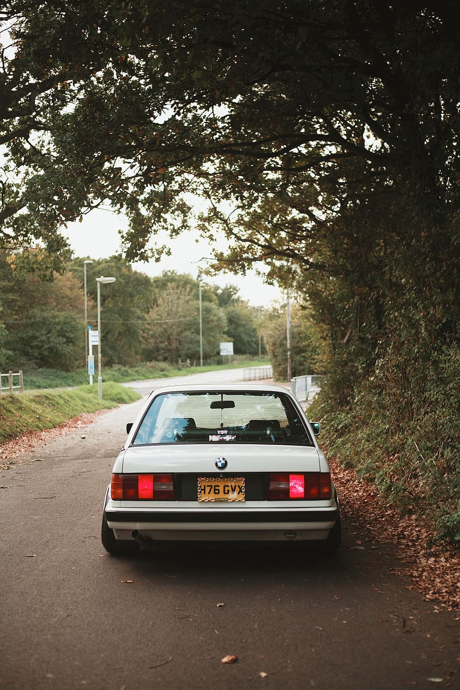 white car under green leafed tree, vehicle, transportation, automobile HD wallpaper