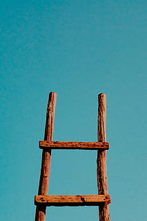 brown ladder, rust, color, abstract, bird, animal, seagull, leisure activities HD wallpaper