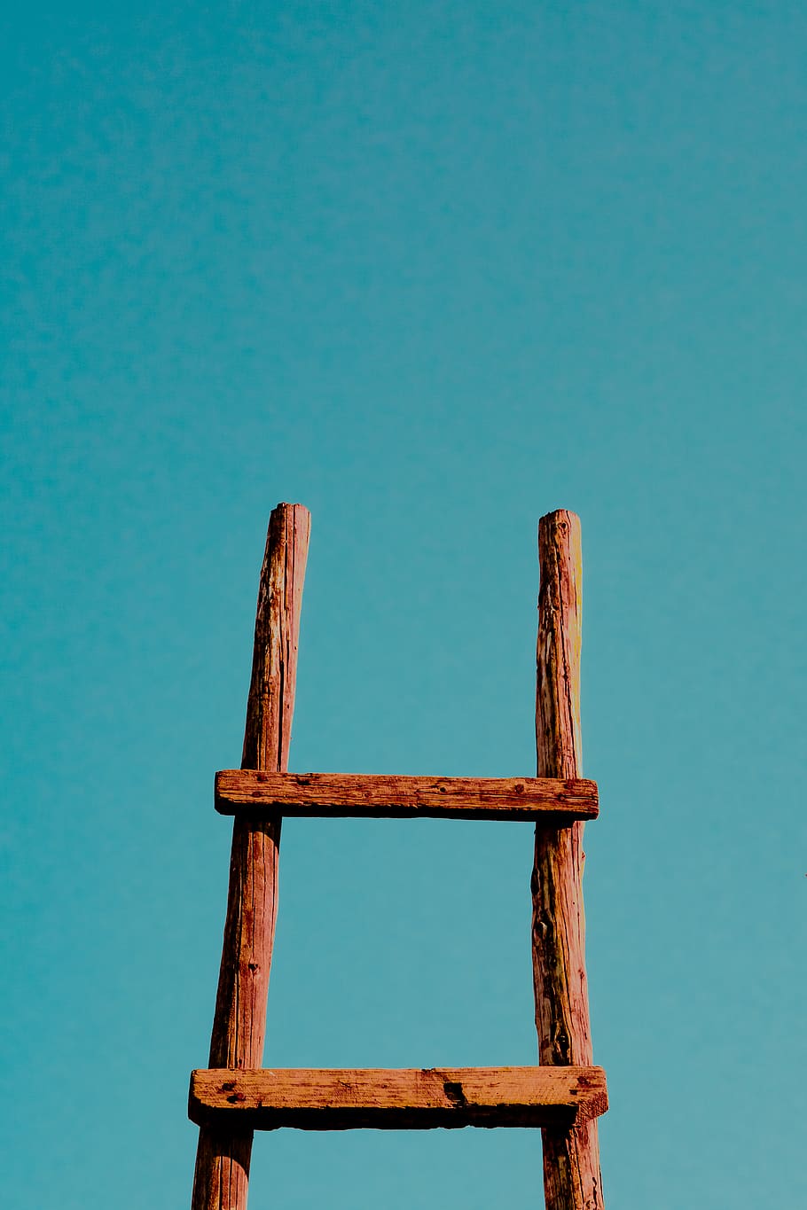 brown ladder, rust, color, abstract, bird, animal, seagull, leisure activities HD wallpaper