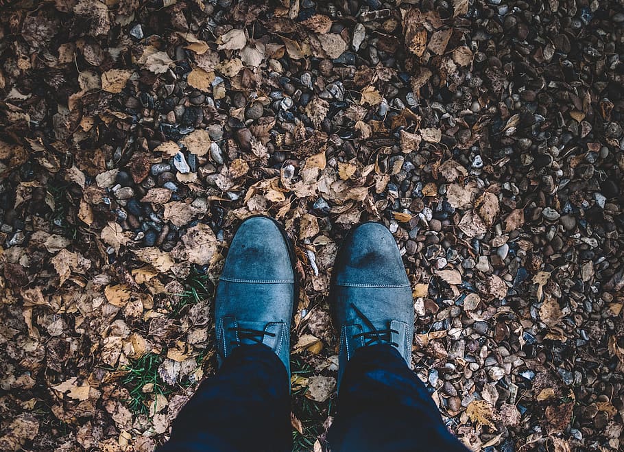 leaf, fall, autumn, shoe, footwear, adventure, outdoor, travel HD wallpaper