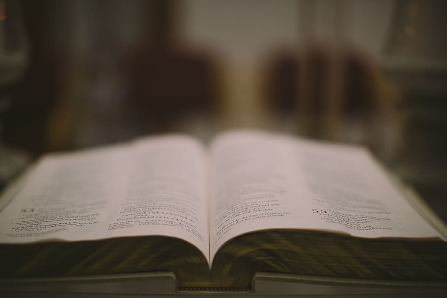 hospital, bible, publication, book, education, page, open, paper HD wallpaper