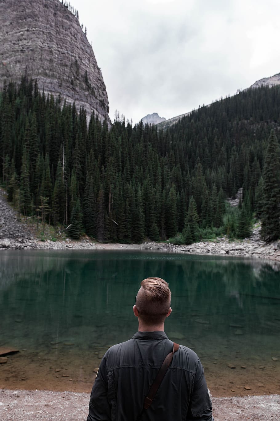 canada, banff, tree, trees, forest, woods, mountain, cliff HD wallpaper