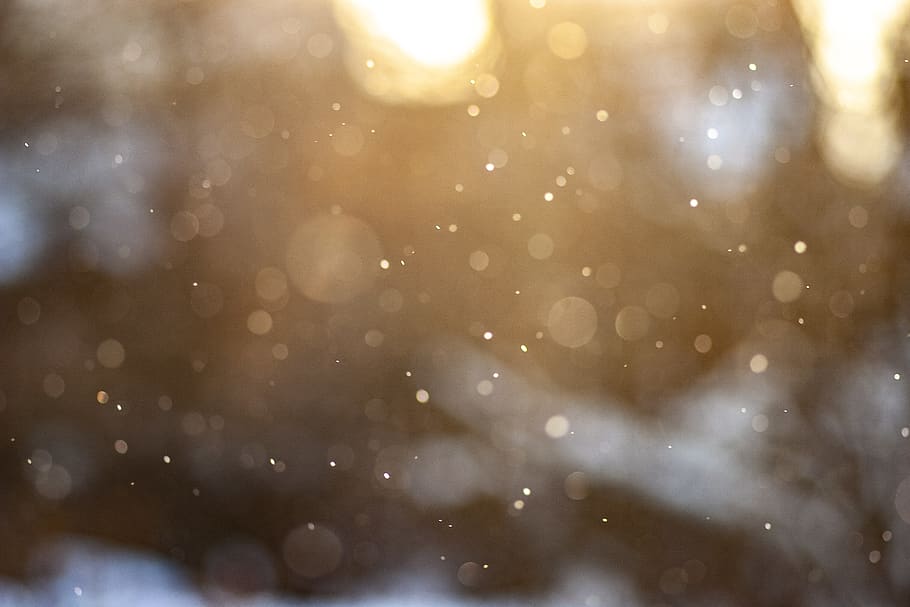 snow, winter, snowing, cold temperature, no people, defocused HD wallpaper
