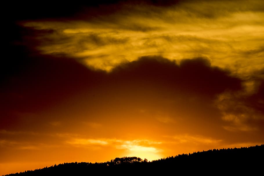 sunset, nature, cloud, sky, trees, cloud - sky, silhouette HD wallpaper