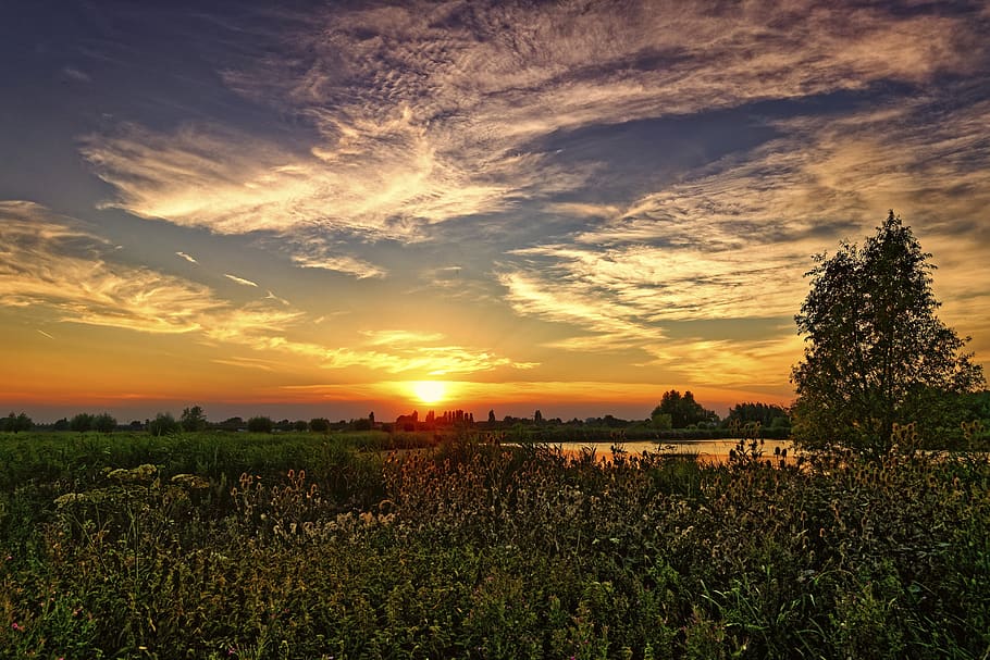 twilight, heat wave, sunset, clouds, plants, tree, water, sky HD wallpaper