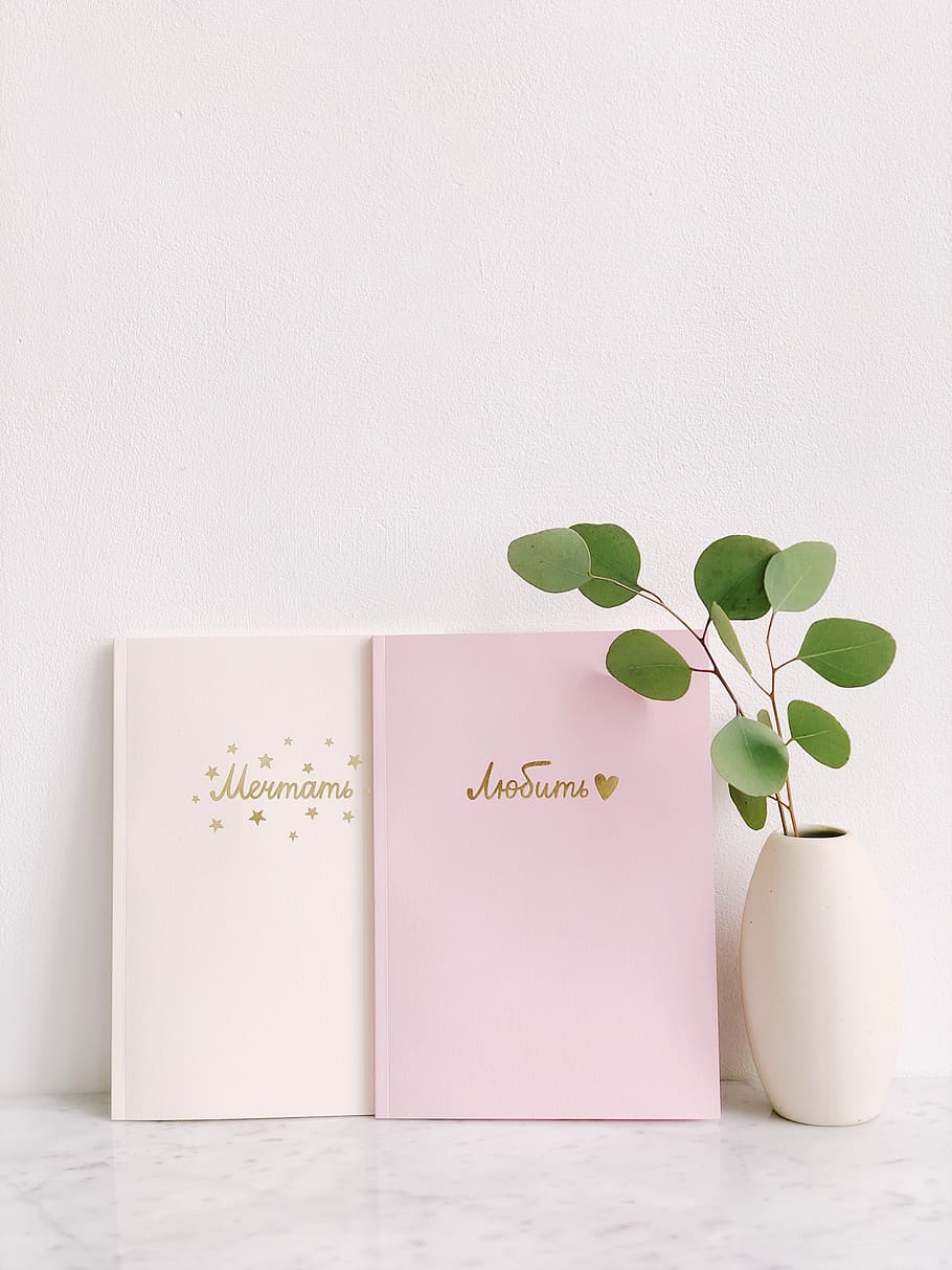 Green Leaf Plant Beside Two Pink and White Notebooks, clean, space HD wallpaper