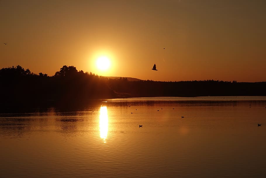 sunset, upper lake, silent, atmospheric, nature, upper palatinate HD wallpaper