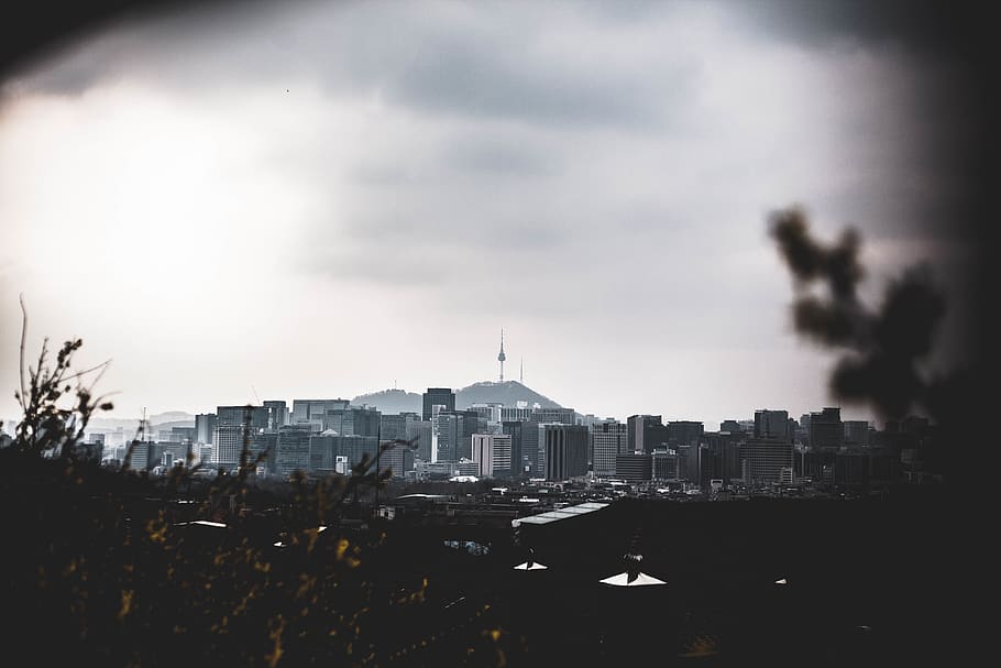high rise buildings, urban, town, city, metropolis, nature, office building HD wallpaper