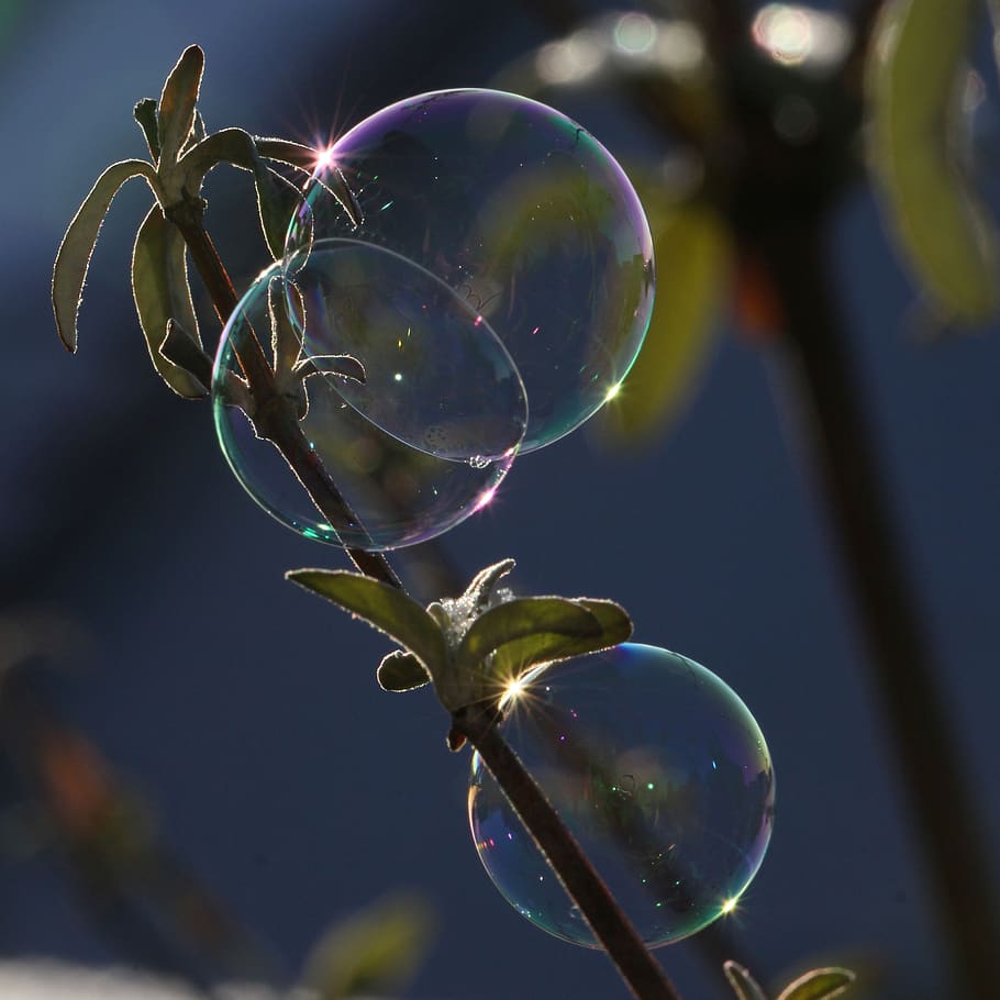 soap bubble, light, reflection, shimmer, weightless, fragility HD wallpaper