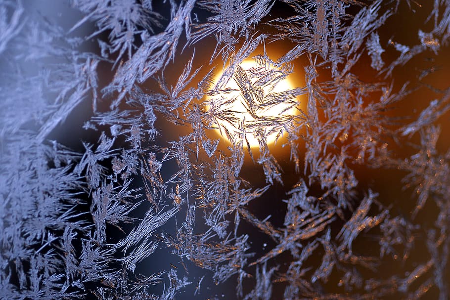 norway, nordfjordeid, rose, moon, window, winter, ice, sun HD wallpaper