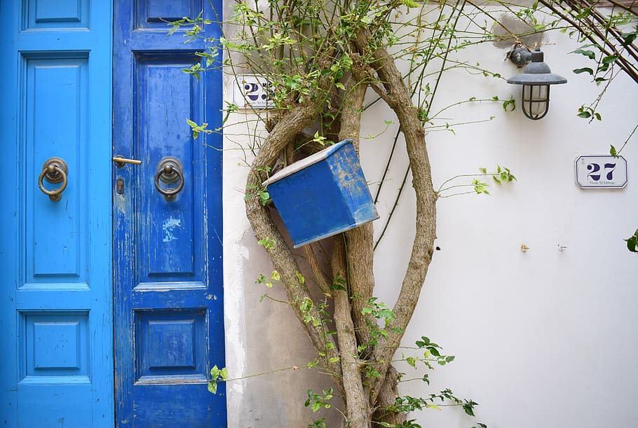 blue, door, plant, entrance, day, no people, tree, mailbox HD wallpaper