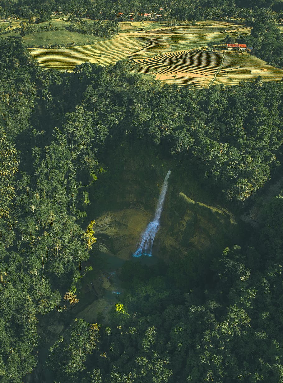 waterfall surrounded by trees, vegetation, plant, nature, outdoors HD wallpaper