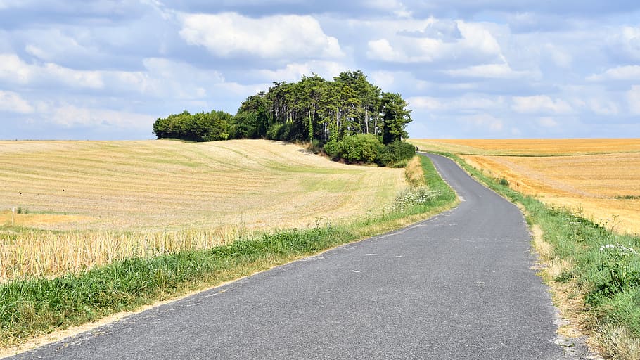 landscape, road, fields, tree, sky, la genevraye, france, plant HD wallpaper